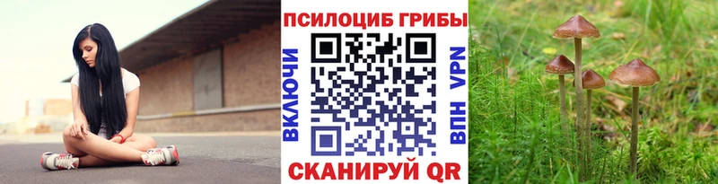 Псилоцибиновые грибы прущие грибы Ясногорск