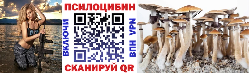 Купить закладки  Ясногорск  Галлюциногенные грибы MAGIC MUSHROOMS